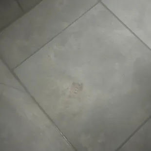 gross steam room