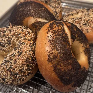 Some test bagels