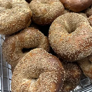Sesame Bagels