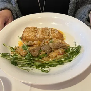Halibut