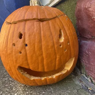 Mike S.