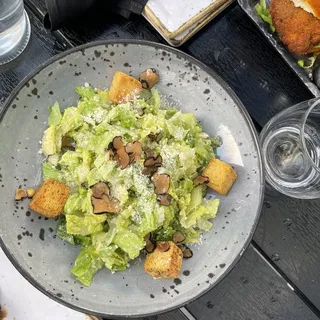 Truffle Caeser