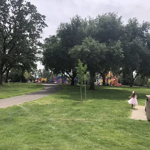 View from parking the car