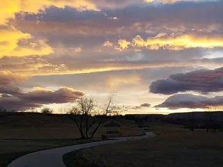 Van Bibber Open Space