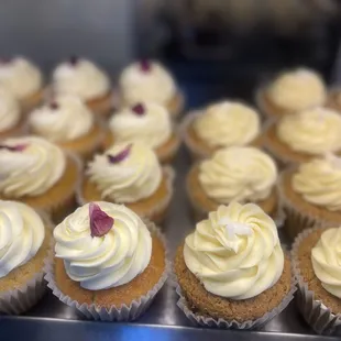 dessert, food, cupcakes