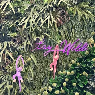 sushi and sashimi, interior