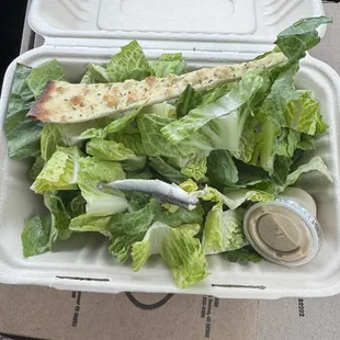 One single anchovy for my Caesar salad? $6+ for a bed of lettuce. We won't be ordering any food again. What a disappointment.