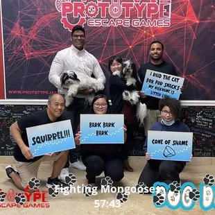 The Fighting Mongooses "Dog Days" - ESCAPED!