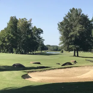 Gorgeous course