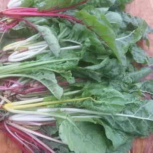 Rainbow swiss chard
