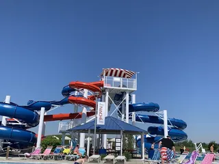 Freedom Springs