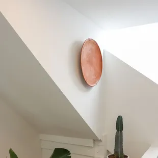 a potted plant and a plate on the wall
