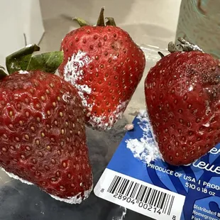 Rotten strawberries