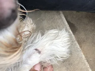 Sheridan Road Veterinary Clinic