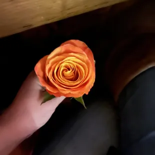 Free rose for girls