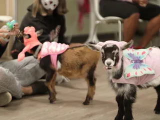 Aspire Behavioral Health