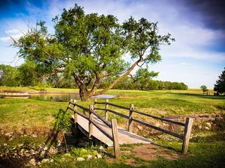 Prairie Hill Vineyard