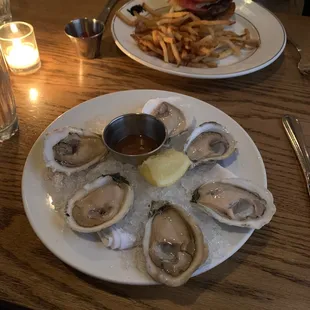 Oysters