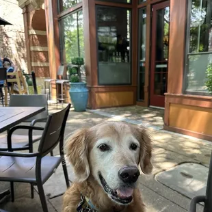 Waiting for his grilled chicken