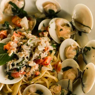 Clam Linguini