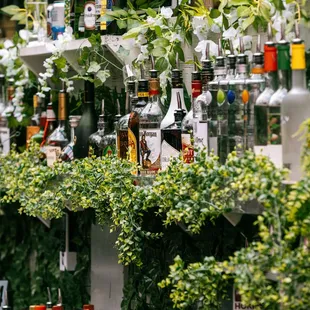 Great liquor Selections!