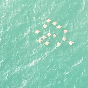 Pictures from above the water with my husbands drone