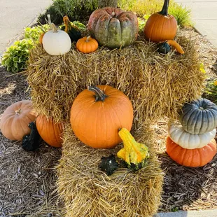 food, sushi, sushi and sashimi, sashimi