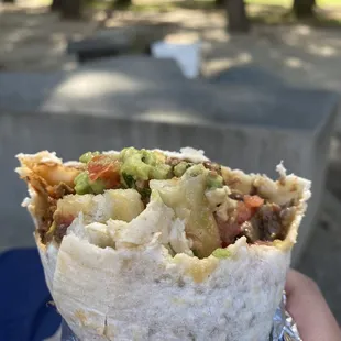 a hand holding a burrito
