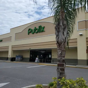 a palm tree in front of a publix store