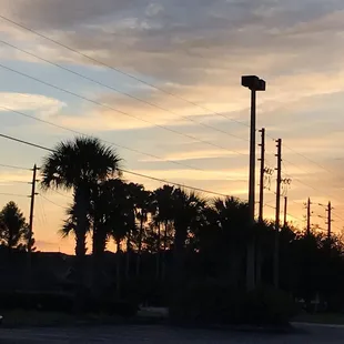 a street with palm trees in the foreground