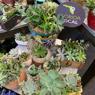 Locally grown plants