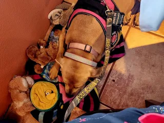 Publix Super Markets