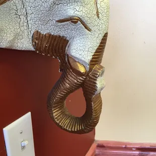 an elephant head mounted on a wall