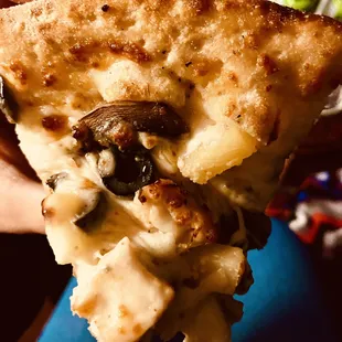 a person holding a slice of pizza