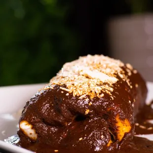 Mole Chicken Burrito