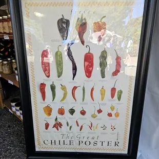 Chile poster