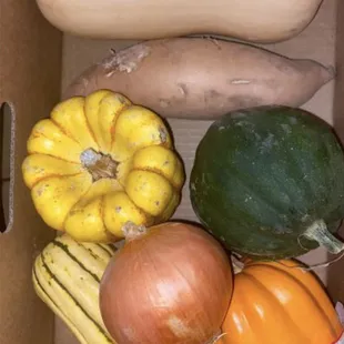 Assorted Squash Box - Fresh Produce