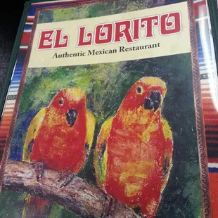 two colorful birds perched on a branch