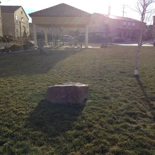 Grass throughout the complex (this was taken in January)