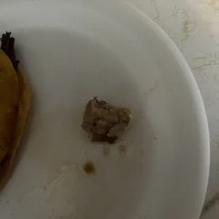 This is a hunk of fat that was in my taco