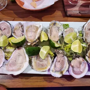 Oysters