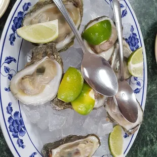 a plate of oysters with lime wedges