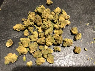 LIV Cannabis - Ferndale