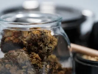 Cloud Cannabis