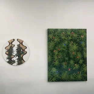 Abri Swell's distinctive local cannabis-themed pop art from Mary Jane Art Company is on display and for sale at Puffinz.