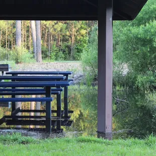 Picnic Shelter (standing water)