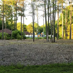 Back of the park looking towards the front