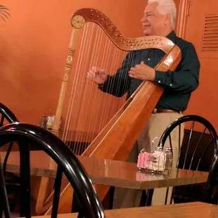 Harp musician