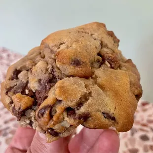 Monster cookie