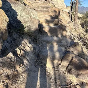 The steepest and most dangerous part of the hike. Lol